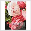 cross stitch pattern Mini Roses 2