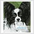 cross stitch pattern Mini Black and White Papillon