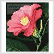 cross stitch pattern Mini Japanese Camellia
