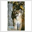 cross stitch pattern Mountain Lion