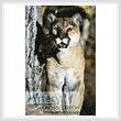 cross stitch pattern Mini Mountain Lion