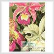 cross stitch pattern Mini Orchids 
