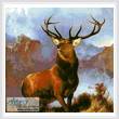 cross stitch pattern Monarch of the Glen