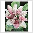 cross stitch pattern Mini Passion Flower