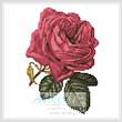 cross stitch pattern Mini Pink Rose