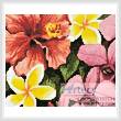 cross stitch pattern Mini Tropical Flowers of Oz