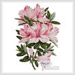 cross stitch pattern Pink Azaleas