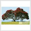 cross stitch pattern Pohutukawa Trees