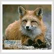 cross stitch pattern Red Fox Photo