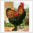 cross stitch pattern Rooster 2