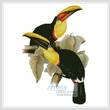 cross stitch pattern Toucans