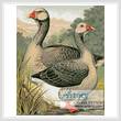 cross stitch pattern Toulouse Geese