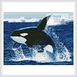 cross stitch pattern Whale 1
