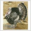 cross stitch pattern Wild Turkey