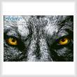 cross stitch pattern Wolf Eyes