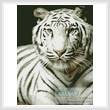 cross stitch pattern White Tiger