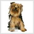 cross stitch pattern Yorkshire Terrier