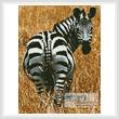 cross stitch pattern Zebra