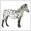 cross stitch pattern Appaloosa
