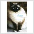 cross stitch pattern Birman Cat