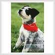 cross stitch pattern Cattle Dog