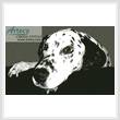 cross stitch pattern Dalmatian