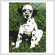 cross stitch pattern Dalmatian Puppy