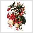 cross stitch pattern Fuschia 3