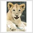 cross stitch pattern Lion Cub 3
