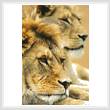 cross stitch pattern Lion Couple