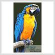cross stitch pattern Macaw