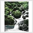 cross stitch pattern Mini Waterscene 4