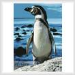 cross stitch pattern Penguin Photo