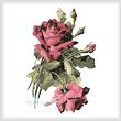 cross stitch pattern Pink Roses 3