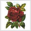 cross stitch pattern Red Rose