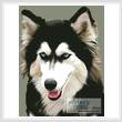 cross stitch pattern Siberian Husky