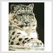 cross stitch pattern Snow Leopard 2