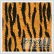 cross stitch pattern Tiger Cushion