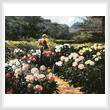 cross stitch pattern Woman in a Garden