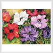 cross stitch pattern Colourful Anemones