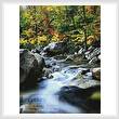 cross stitch pattern Autumn Stream