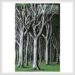 cross stitch pattern Beech Trees