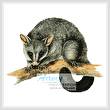 cross stitch pattern Brush Tail Possum