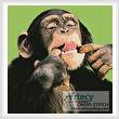 cross stitch pattern Cheeky Chimp