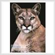 cross stitch pattern Cougar