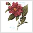 cross stitch pattern Dahlia Double