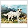 cross stitch pattern English Setter