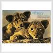 cross stitch pattern Lion Cubs