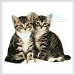 cross stitch pattern Two Tabby Kittens