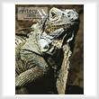 cross stitch pattern Mini Iguana